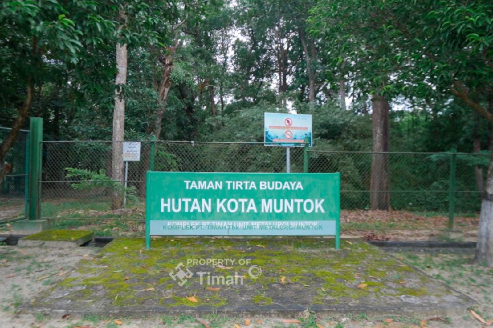 PT Timah Komitmen Jaga Flora dan Fauna Endemik Lewat Hutan Kota Mentok