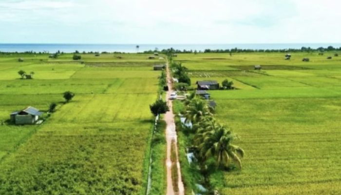 Bangka Selatan Dapatkan Alokasi Anggaran Rp70 Miliar untuk Program Ketahanan Pangan 2025