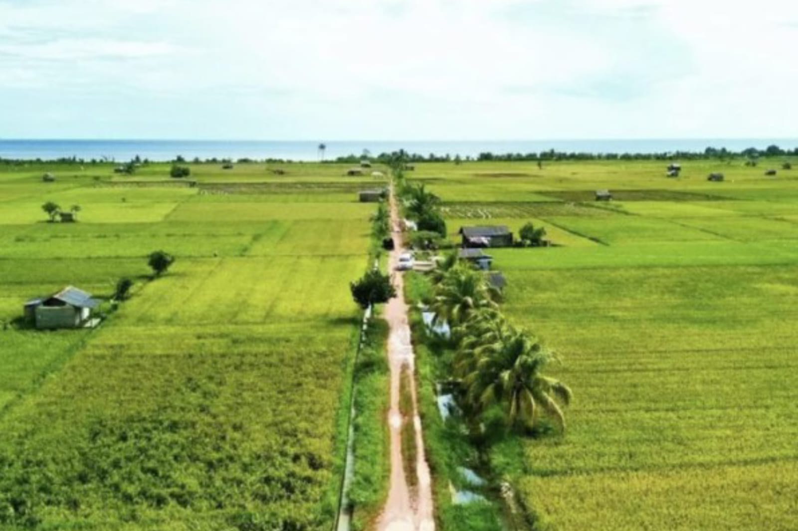 Bangka Selatan Alokasikan Rp70 Miliar untuk Program Ketahanan Pangan 2025