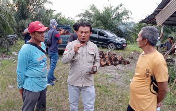 Bantuan Bibit Sawit Riza-Debby Jangkau Puluhan Desa di Basel, Ini Daftar Penerimanya dari 2021-2023