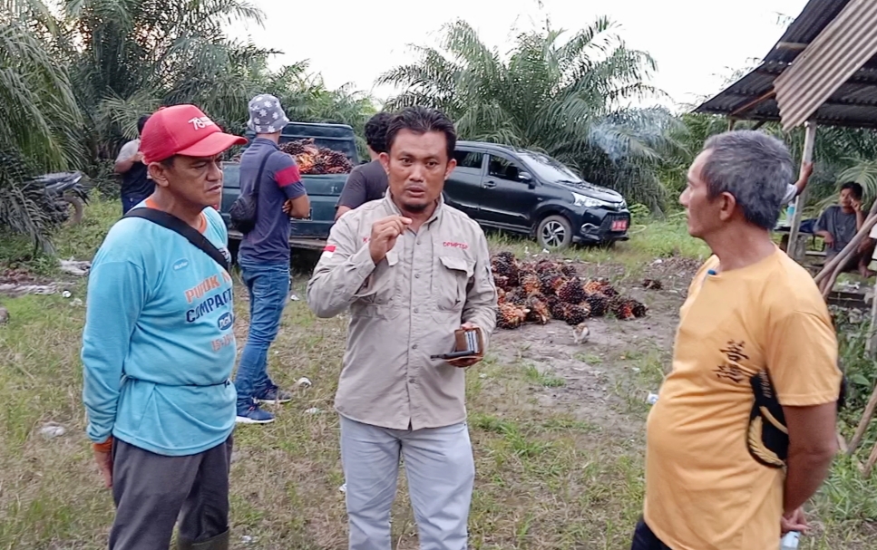 Bantuan Bibit Sawit Riza-Debby Jangkau Puluhan Desa di Basel, Ini Daftar Penerimanya dari 2021-2023