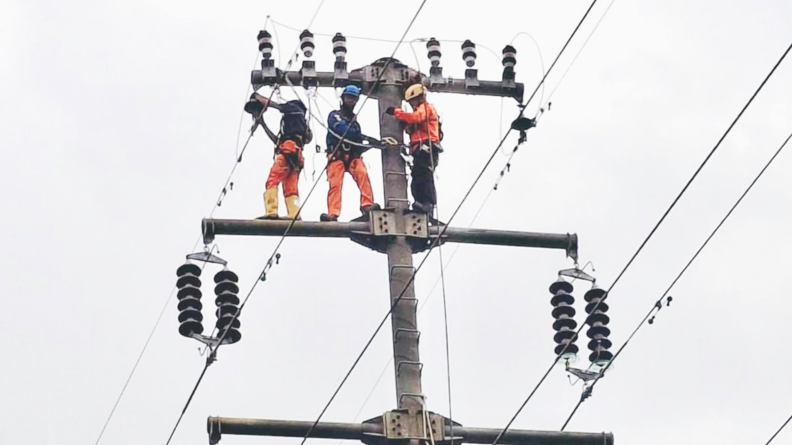 Cegah Gangguan Satwa Liar, PLN Babel Pasang PANTOM di Tower Listrik Belitung