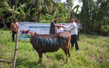 Berbagi Kebahagiaan Idul Adha, PT Timah Distribusikan Hewan Kurban hingga Pelosok Meranti