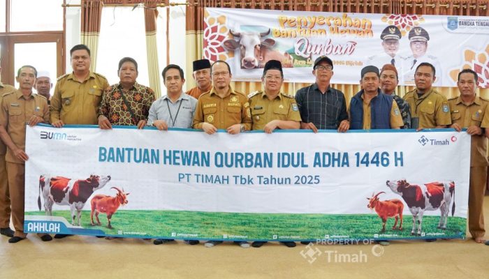 Bupati Bangka Tengah Apresiasi PT Timah atas Konsistensi Penyaluran Hewan Kurban