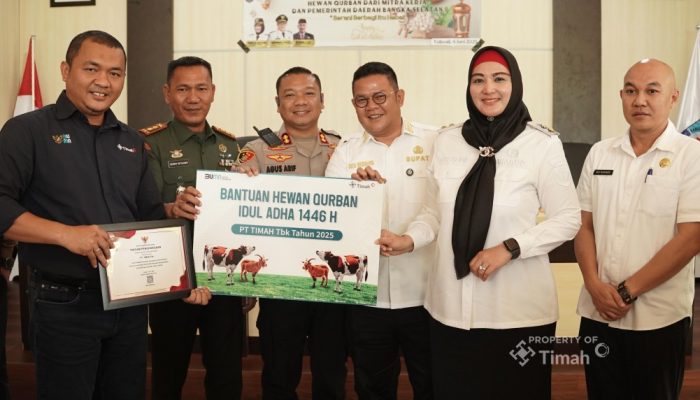 PT Timah Salurkan 30 Sapi Kurban di Bangka Selatan, Riza Herdavid: Ini Sangat Luar Biasa