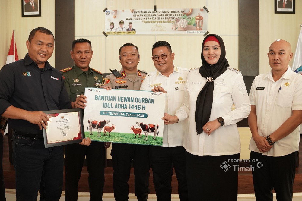 PT Timah Salurkan 30 Sapi Kurban di Bangka Selatan, Riza Herdavid: Ini Sangat Luar Biasa