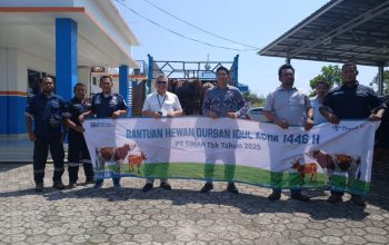 PT Timah Bagikan Hewan Kurban untuk Masyarakat Bangka Barat