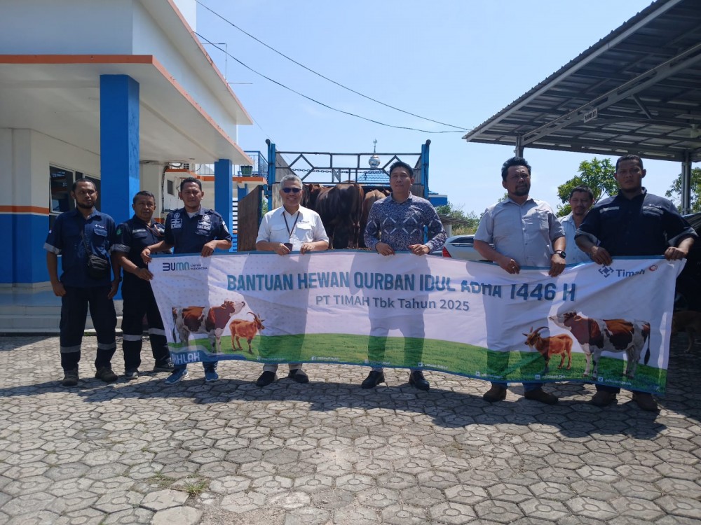PT Timah Bagikan Hewan Kurban untuk Masyarakat Bangka Barat