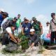 Dukung Pariwisata Berkelanjutan, PT Timah Tanam Pohon Peneduh di Kawasan Wisata Batu Tunggal