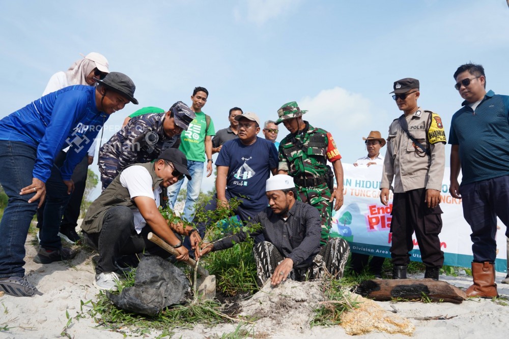 Dukung Pariwisata Berkelanjutan, PT Timah Tanam Pohon Peneduh di Kawasan Wisata Batu Tunggal
