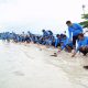 Dukung Pariwisata dan Ekosistem Laut, PT Timah dan AAI Sumbagsel Lepas 50 Tukik di Pulau Kelayang