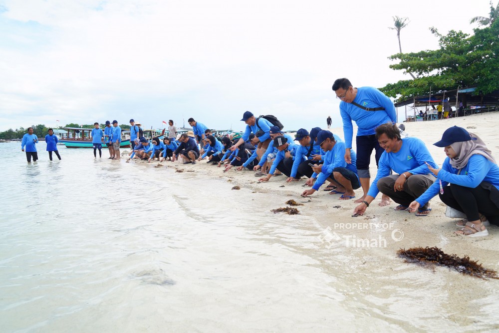 Dukung Pariwisata dan Ekosistem Laut, PT Timah dan AAI Sumbagsel Lepas 50 Tukik di Pulau Kelayang