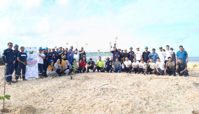 Rayakan Hari Lingkungan Hidup Sedunia 2025, PT Timah Tanam Ribuan Pohon hingga Bersih-Bersih Pantai