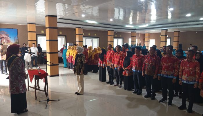 Istri Bupati Bangka Selatan Dikukuhkan Jadi Bunda PAUD dan Ketua Dekranasda