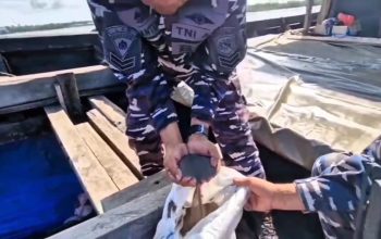 Hendak Diselundupkan ke Malaysia, Kapal Bermuatan 25 Ton Timah Diamankan Lanal Babel