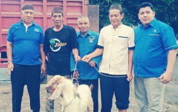 DPC Partai Demokrat Bangka Selatan Serahkan Hewan Kurban untuk Warga Desa Serdang