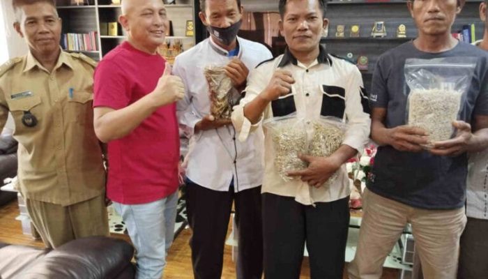 Dampak Kapal Isap di Bangka Barat Meresahkan Nelayan, DPRD Babel Siap Tindaklanjuti