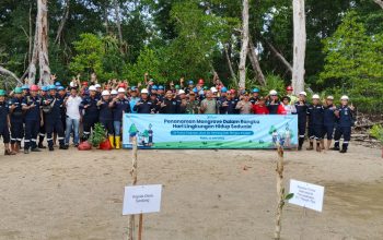 Dukung Ekowisata, PT Timah Tanam Ribuan Mangrove di Dusun Limus