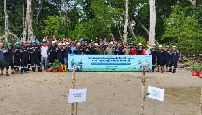 Dukung Ekowisata, PT Timah Tanam Ribuan Mangrove di Dusun Limus