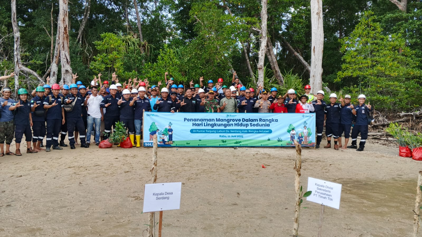 Dukung Ekowisata, PT Timah Tanam Ribuan Mangrove di Dusun Limus