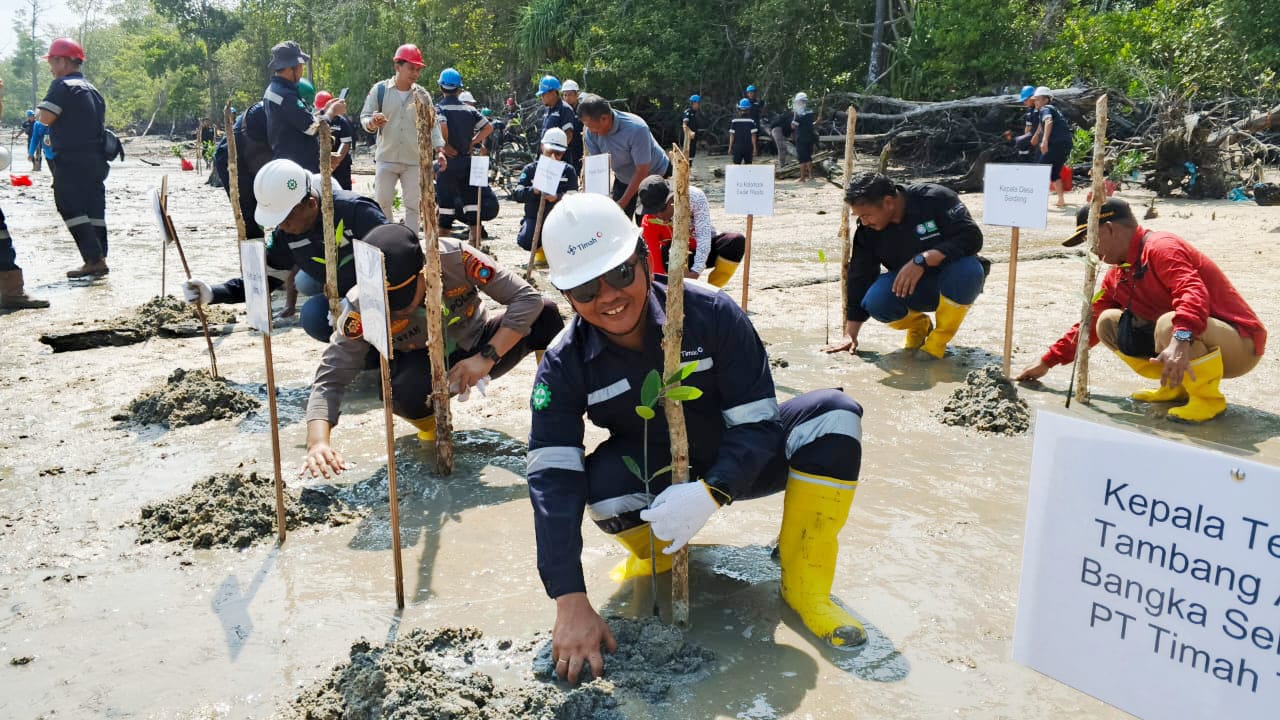 Gandeng Pokdarwis, PT Timah Tanam 5.000 Pohon Mangrove di Pesisir Pantai Tanjung Labun