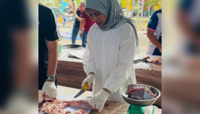PLN Babel Salurkan 1.000 Paket Daging Kurban ke Komunitas Rentan