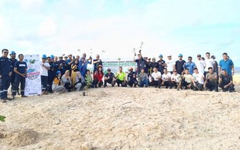PT Timah Tanam Ratusan Pohon di Lahan Bekas Tambang