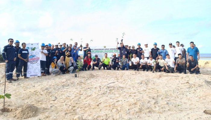 PT Timah Tanam Ratusan Pohon di Lahan Bekas Tambang