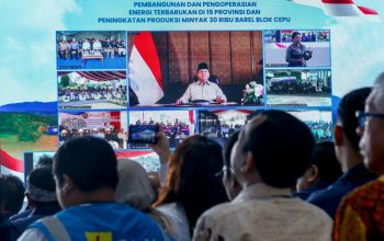 Presiden Prabowo Resmikan 55 Proyek Energi Terbarukan di 15 Provinsi
