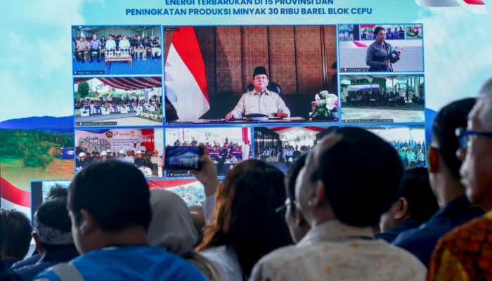Presiden Prabowo Resmikan 55 Proyek Energi Terbarukan di 15 Provinsi
