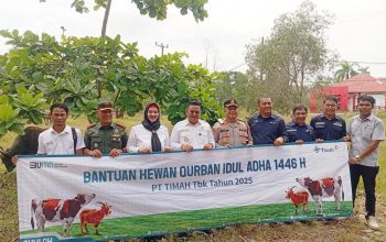 Pemkab Basel Gandeng Perusahaan Salurkan 75 Sapi Kurban
