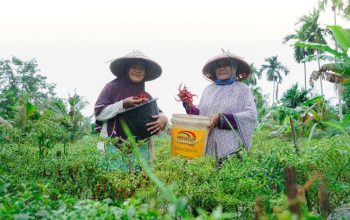 PT Timah Dukung Kemandirian Ekonomi Masyarakat Lewat Pemberdayaan Potensi Lokal