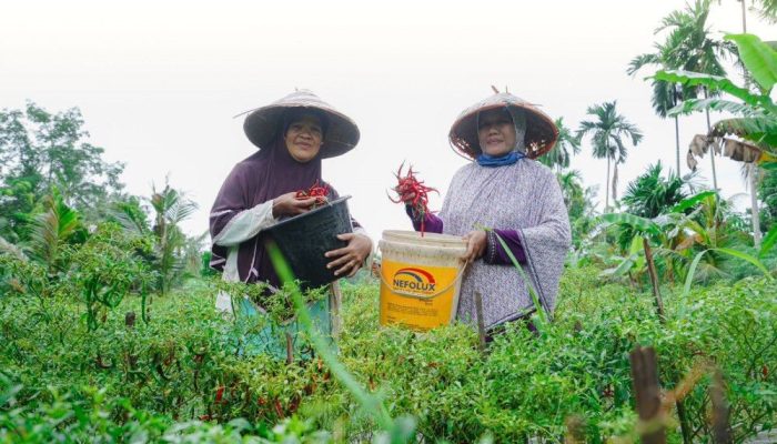 PT Timah Dukung Kemandirian Ekonomi Masyarakat Lewat Pemberdayaan Potensi Lokal