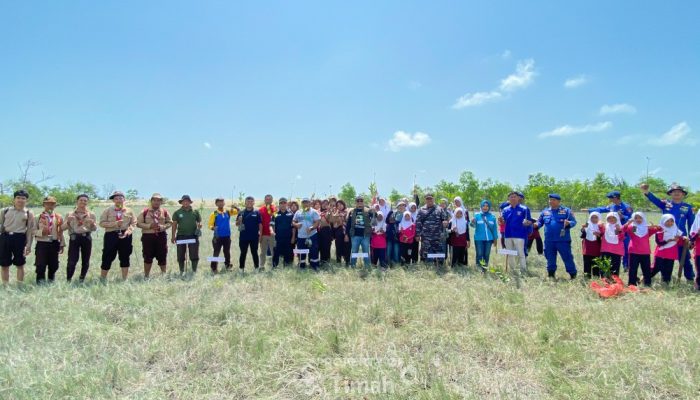 Jaga Ekosistem Pesisir, PT Timah Bersama HNSI Bangka Tanam Ribuan Mangrove di Nelayan II Sungailiat 