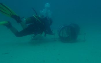 PT Timah Tenggelamkan Puluhan Atraktor Cumi di Buku Limau