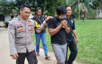 Kepergok Saat Beraksi, Pencuri Sawit di Desa Paku Dibekuk, Rekannya Kabur
