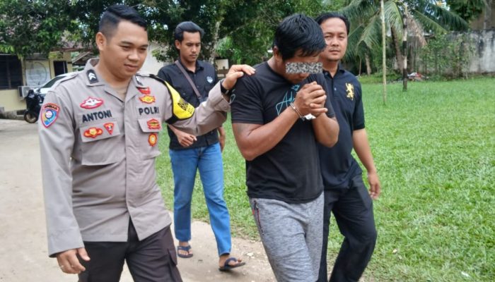Kepergok Saat Beraksi, Pencuri Sawit di Desa Paku Dibekuk, Rekannya Kabur
