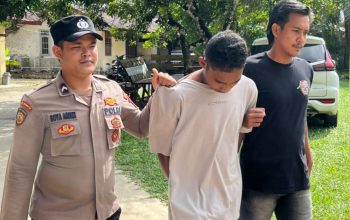Sempat Buron, Roy Pencuri Sawit PT MHL Akhirnya Ditangkap Polisi di Riau Silip