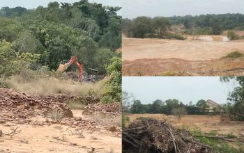 Waduh! Ekskavator dan Tambang Timah Diduga Ilegal Beroperasi Bebas di Belakang Gedung Diklat BKPSDM Babar