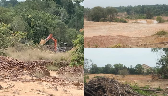 Waduh! Ekskavator dan Tambang Timah Diduga Ilegal Beroperasi Bebas di Belakang Gedung Diklat BKPSDM Babar