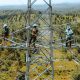 Perkuat Sistem Kelistrikan Nasional, PLN Operasikan GI Bungku dan SUTT 150 kV di Morowali