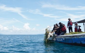CSR Bukan Formalitas, PT Timah Tunjukkan Aksi Nyata Lewat Coral Garden