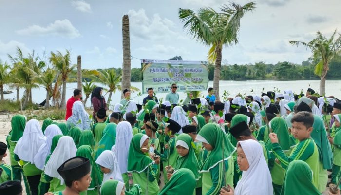 PT Timah Tbk Libatkan Pelajar MIN 1 Bangka Tanam Bibit Mangrove di Kolong Buntu, Ini Tujuannya