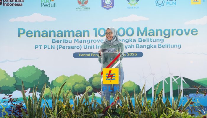 Hari Mangrove Sedunia, PLN UIW Babel Tanam 10.000 Bibit Pohon Mangrove di Bangka Tengah