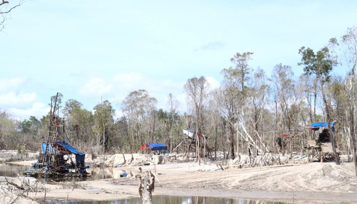 Akin, Ogik dan Gapuk Disebut Penampung Timah Ilegal di Hutan Lindung, Diduga Ada Oknum Aparat Ikut Bermain