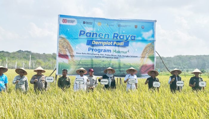Panen Raya di Desa Batu Betumpang, Wakil Bupati Basel Puji Kolaborasi PT Pusri dengan Petani