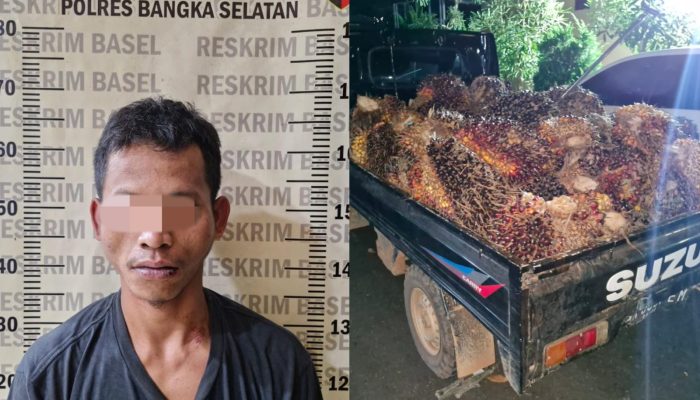 Konsumsi Sabu Sebelum Beraksi, Pencuri Sawit di Bangka Selatan Ditangkap, Satu Pelaku Buron