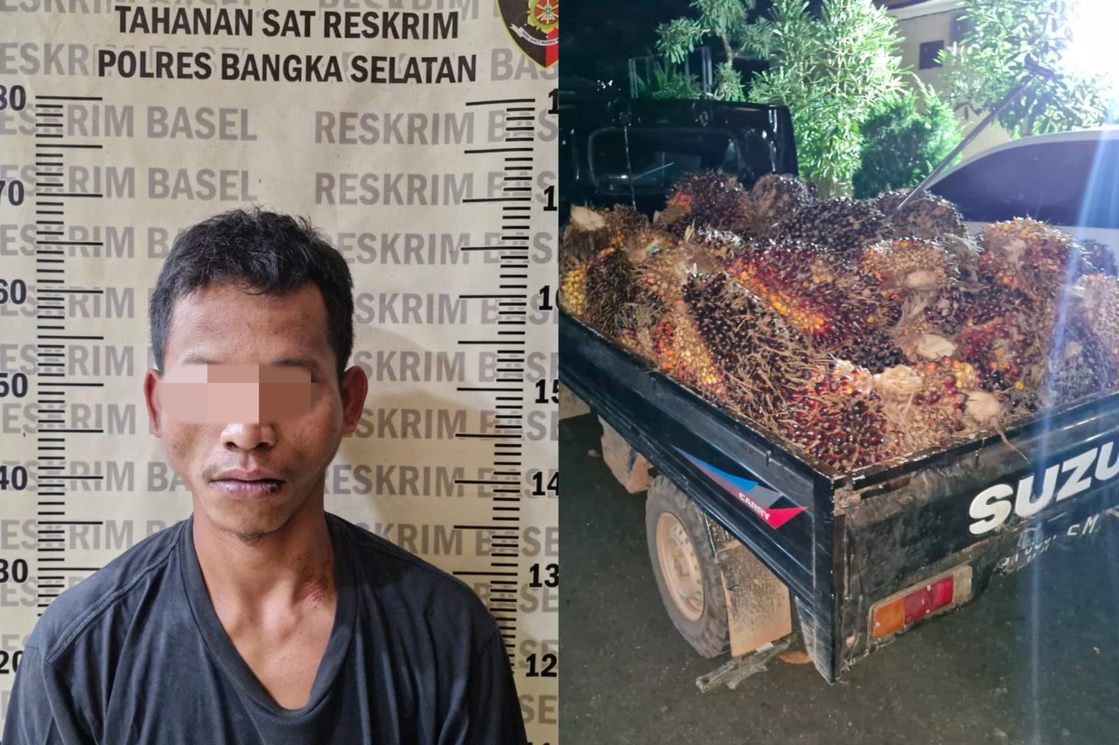 Konsumsi Sabu Sebelum Beraksi, Pencuri Sawit di Bangka Selatan Ditangkap, Satu Pelaku Buron