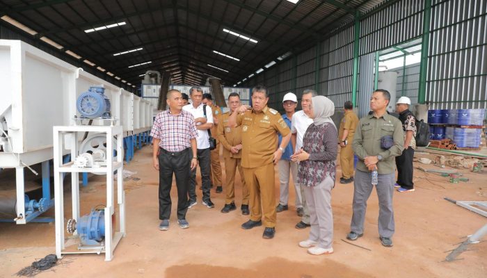 Pabrik Plywood Rp500 Miliar di Beltim Siap Beroperasi, Serap 200 Pekerja Lokal