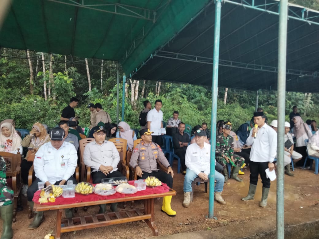 Rintik Hujan Tak Halangi Petinggi di Bangka Barat Ikut Panen Padi di Desa Simpang Yul